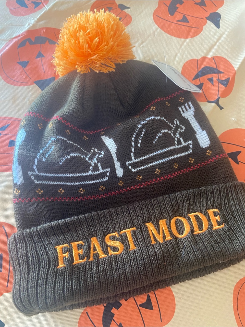 🆕Unisex San Diego Hat company Turkey 🦃 beanie. NWT